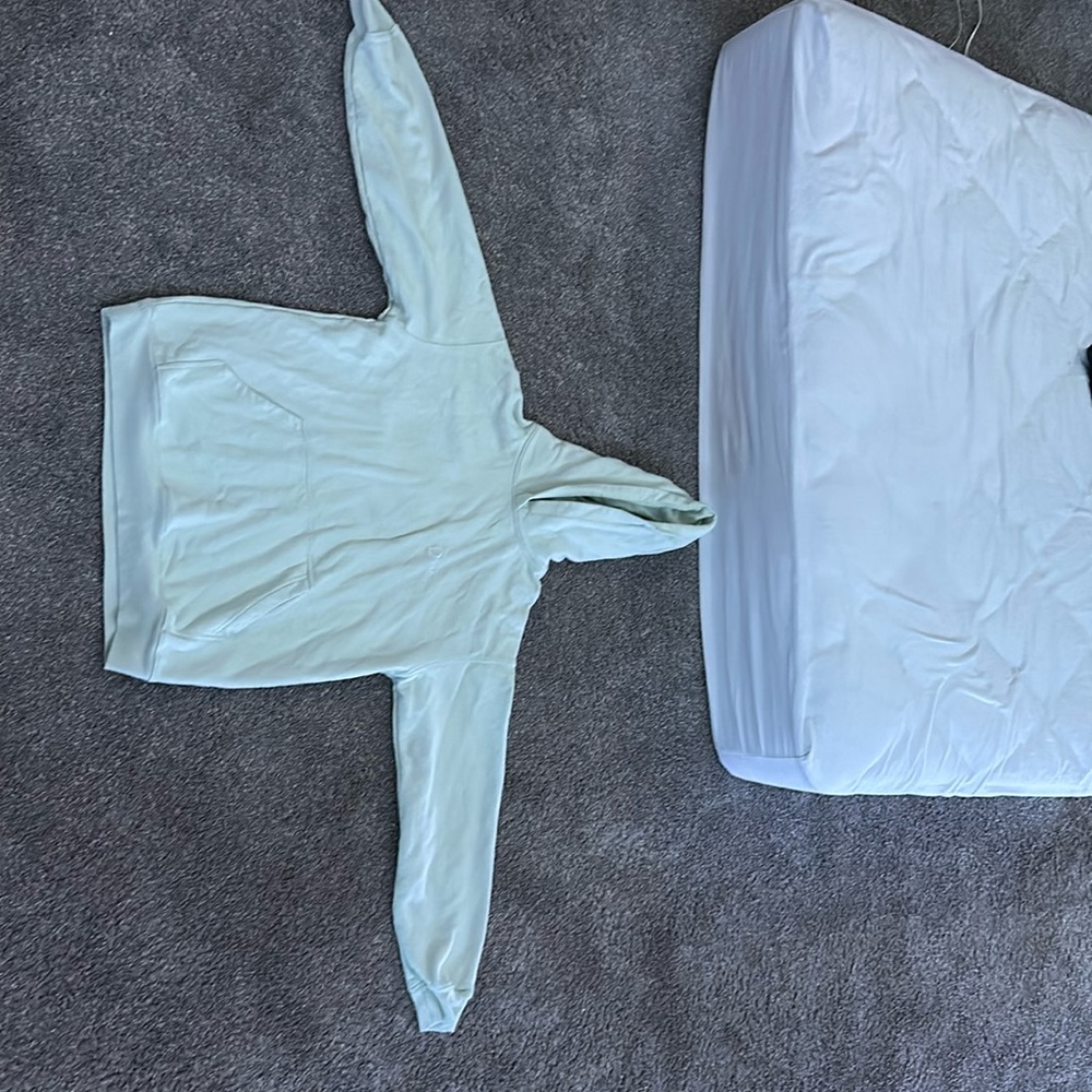 Mint green dime hoodie (bought off goat)